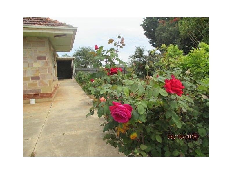 45 Mayes Road, Virginia SA 5120