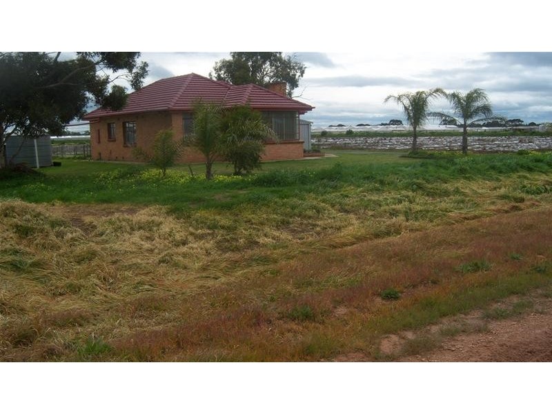 3 Ellis Road, Two Wells SA 5501