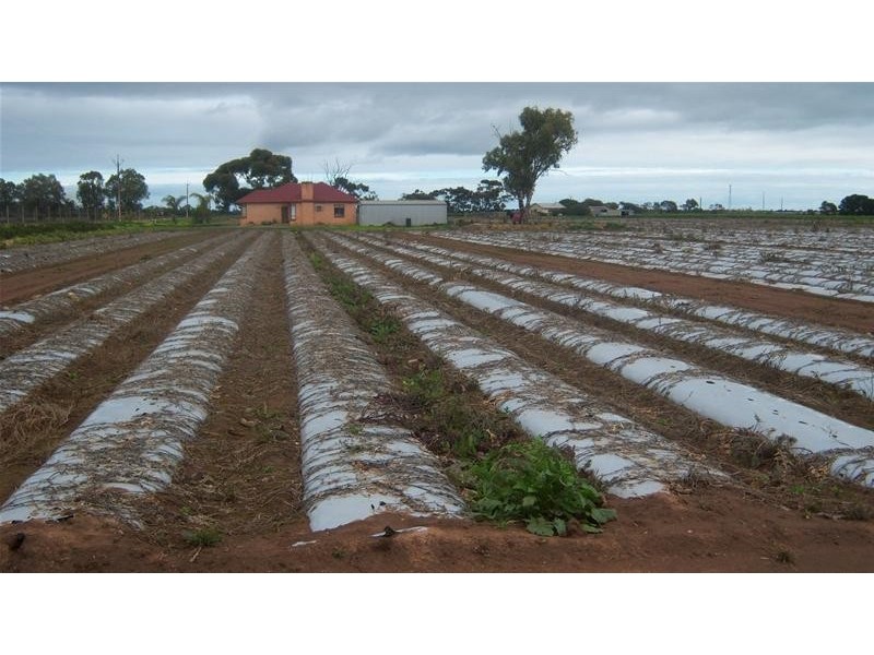 3 Ellis Road, Two Wells SA 5501