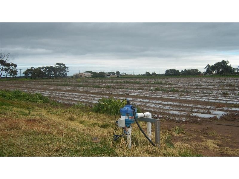 3 Ellis Road, Two Wells SA 5501