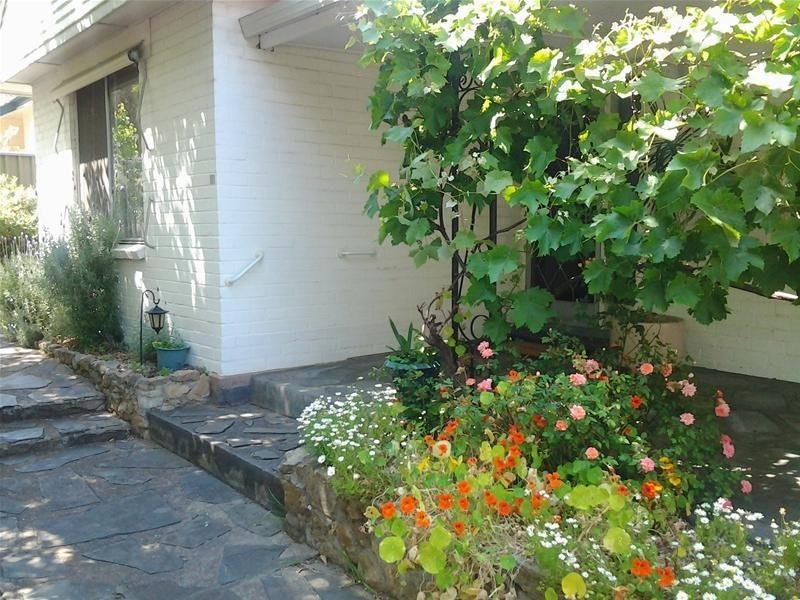 118 Springbank Road, Clapham SA 5062