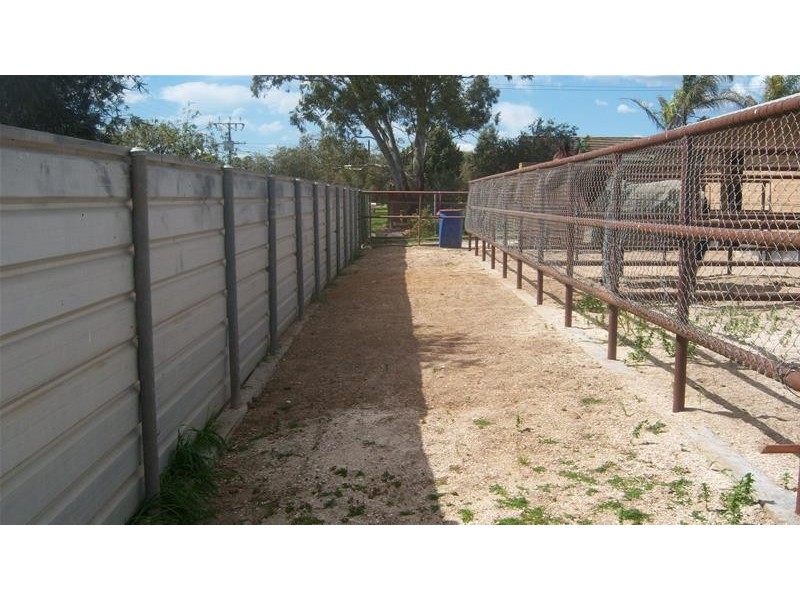 97 Daniel Avenue, Globe Derby Park SA 5110