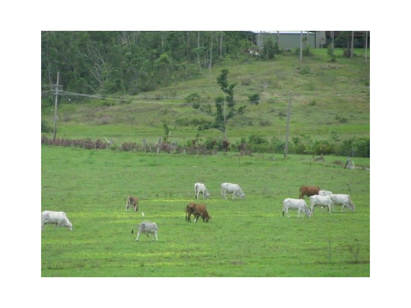 Mission Beach QLD 4852