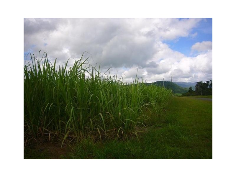 Lot lot 2, Lot 2 Granadilla Road, Granadilla QLD 4855