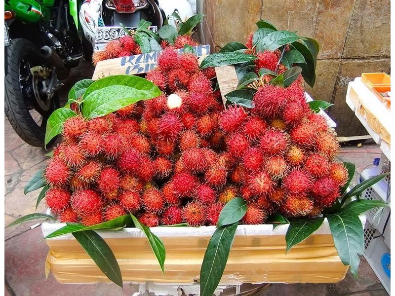 Lot 1, 463 East Feluga Road, East Feluga QLD 4854