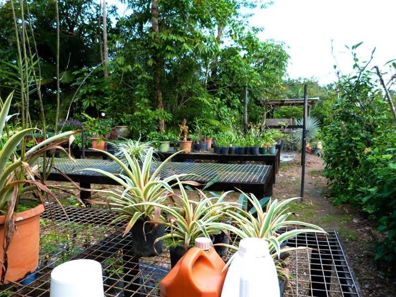 Lot 1, 463 East Feluga Road, East Feluga QLD 4854