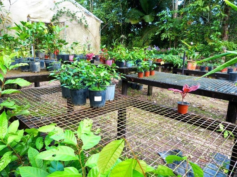 Lot 1, 463 East Feluga Road, East Feluga QLD 4854