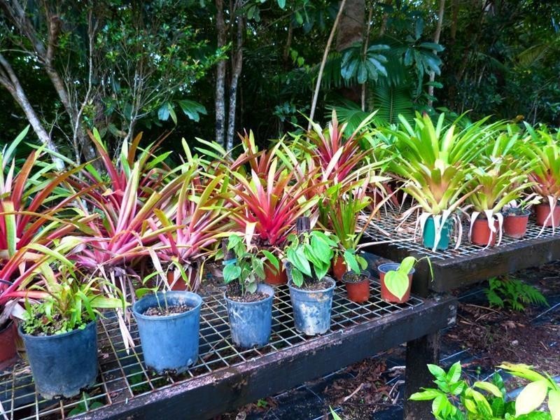 Lot 1, 463 East Feluga Road, East Feluga QLD 4854