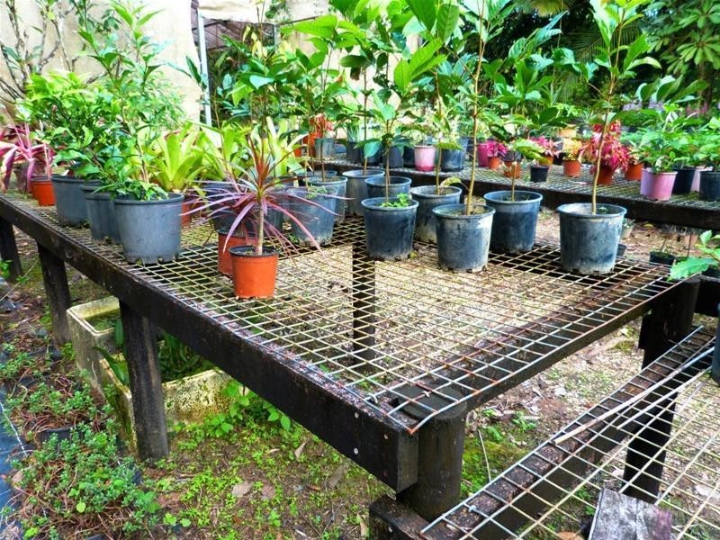 Lot 1, 463 East Feluga Road, East Feluga QLD 4854