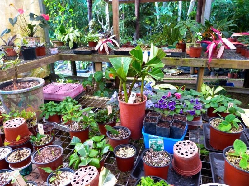 Lot 1, 463 East Feluga Road, East Feluga QLD 4854