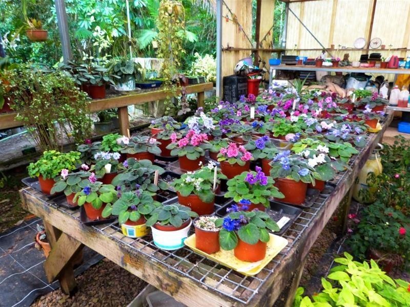 Lot 1, 463 East Feluga Road, East Feluga QLD 4854