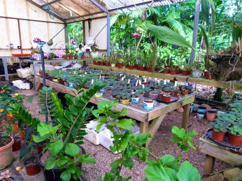 Lot 1, 463 East Feluga Road, East Feluga QLD 4854