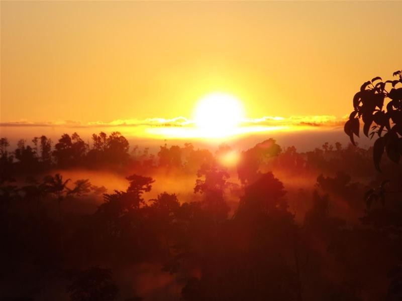 54 Thistle Road, Maadi QLD 4855