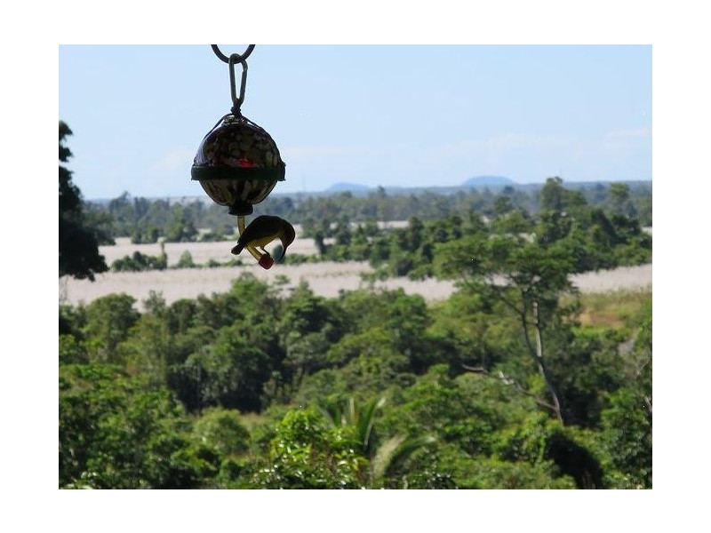 54 Thistle Road, Maadi QLD 4855