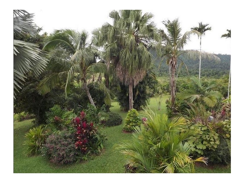 54 Thistle Road, Maadi QLD 4855