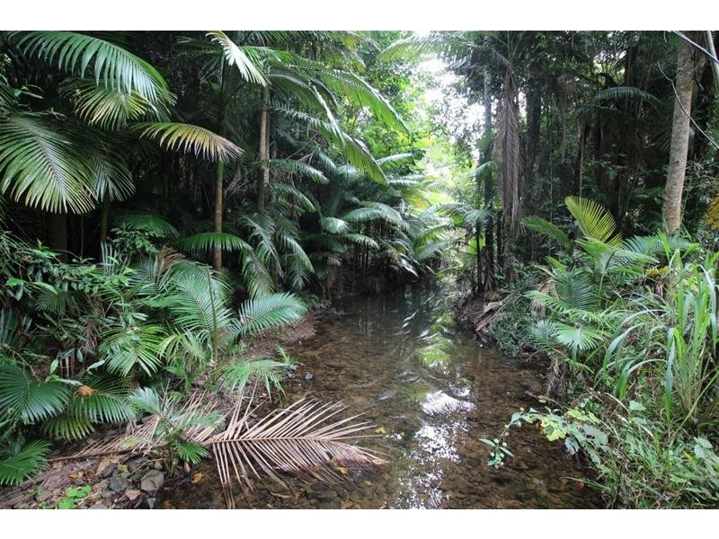 Lot 401, Lot 401 Breadfruit Road, Granadilla QLD 4855