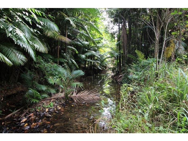 Lot 401, Lot 401 Breadfruit Road, Granadilla QLD 4855