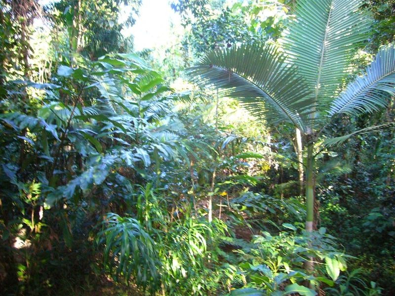 Mission Beach QLD 4852