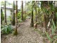 814 East Feluga Road, East Feluga QLD 4854