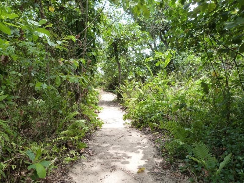 6 Koda Street, Wongaling Beach QLD 4852