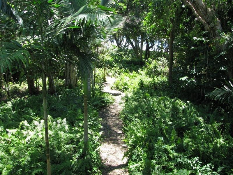 6 Koda Street, Wongaling Beach QLD 4852