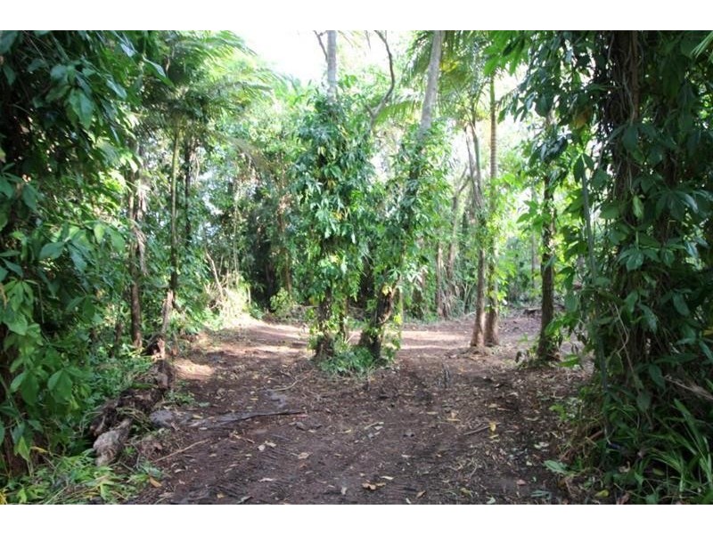 Lot 4, 1246 Tully Mission Beach Road, Carmoo QLD 4852