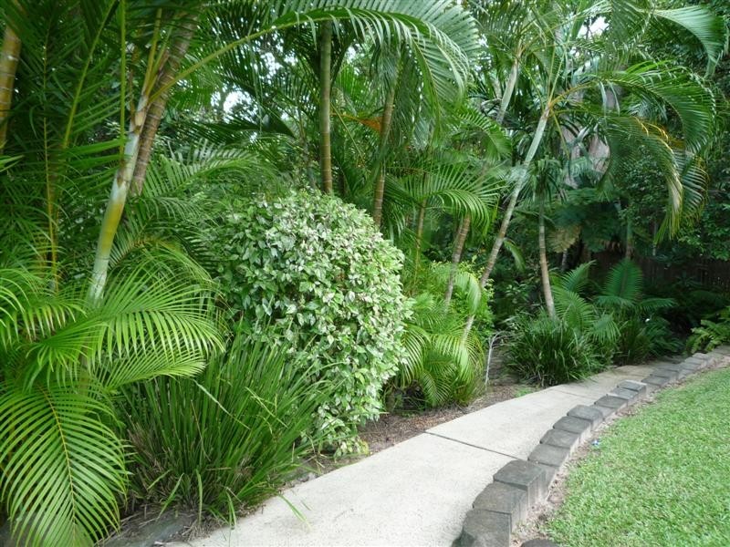 Wongaling Beach QLD 4852