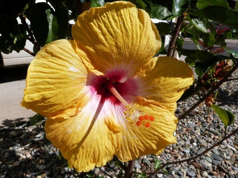 Wongaling Beach QLD 4852