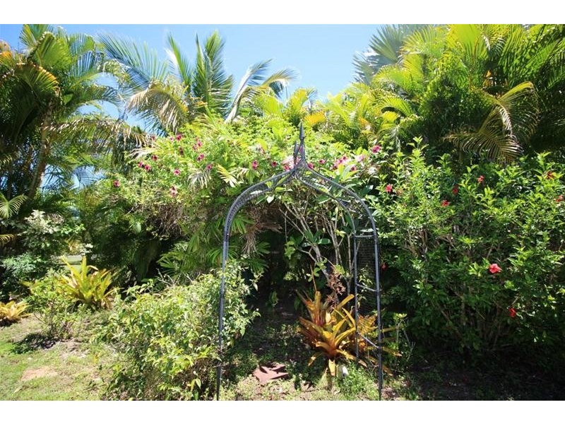 37 Paradise Palm Drive, Tully Heads QLD 4854