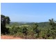 Lot 74, 20 Bicton Close, Bingil Bay QLD 4852