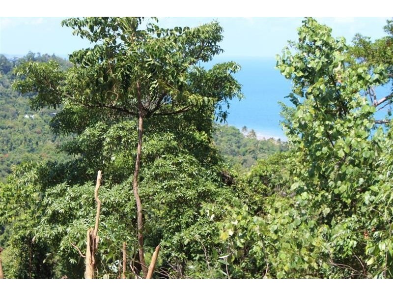 Lot 74, 20 Bicton Close, Bingil Bay QLD 4852