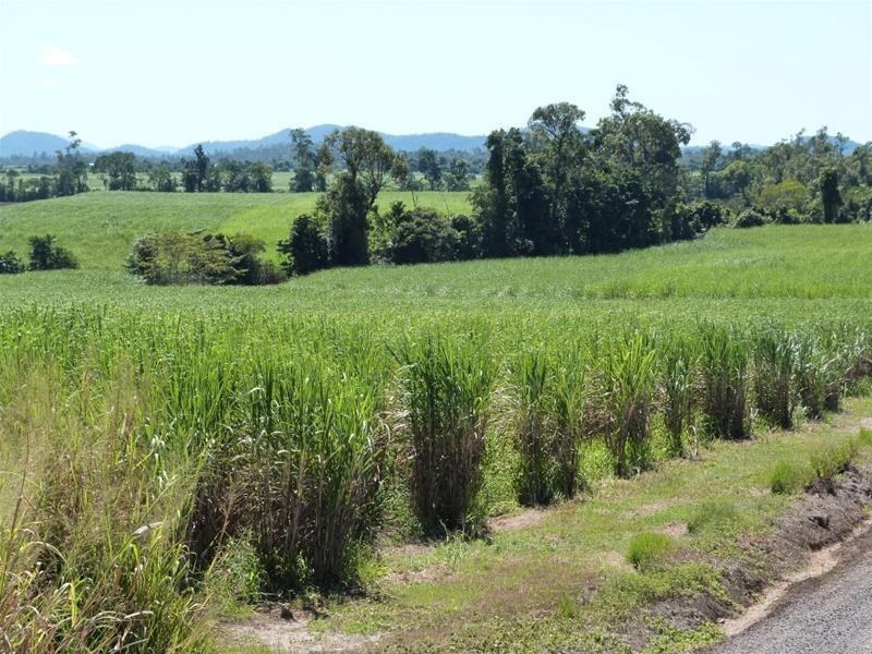 Lot Lot 397 & Lot 1,  Lot 397 & Lot 1 El Arish Mission Beach Road, Maria Creeks QLD 4855