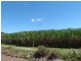 Lot Lot 397 & Lot 1,  Lot 397 & Lot 1 El Arish Mission Beach Road, Maria Creeks QLD 4855