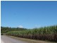 Lot Lot 397 & Lot 1,  Lot 397 & Lot 1 El Arish Mission Beach Road, Maria Creeks QLD 4855