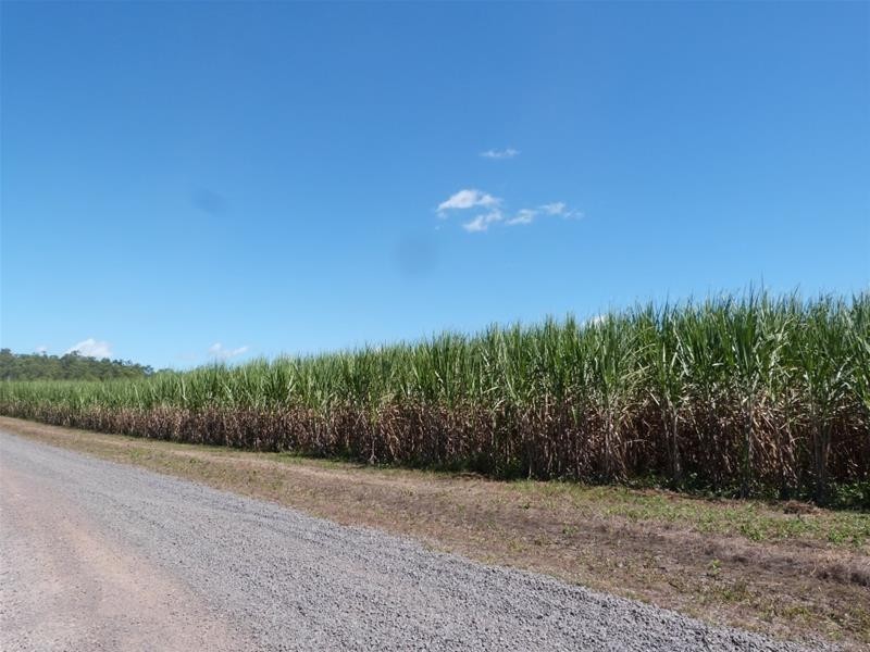 Lot Lot 397 & Lot 1,  Lot 397 & Lot 1 El Arish Mission Beach Road, Maria Creeks QLD 4855