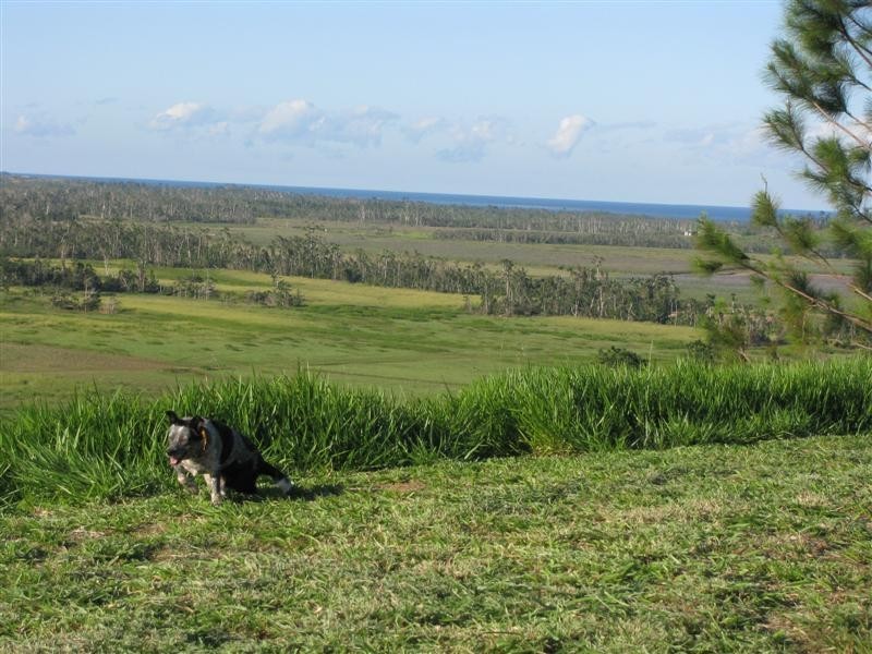 Lot 16, 280 Benn Road, Maria Creeks QLD 4855