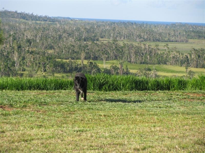 Lot 16, 280 Benn Road, Maria Creeks QLD 4855