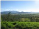 Lot 16, 280 Benn Road, Maria Creeks QLD 4855