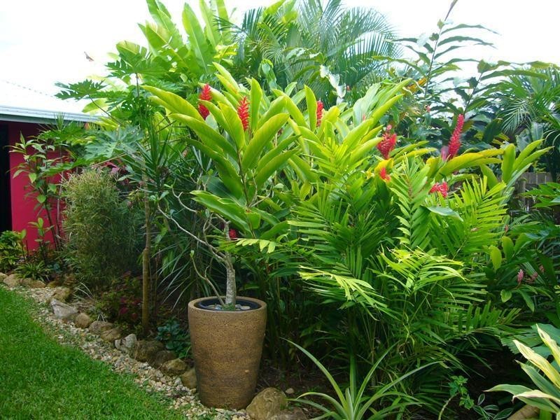 37 Pacific View Drive, Wongaling Beach QLD 4852