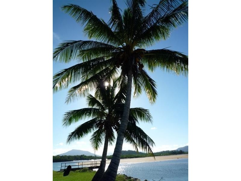 Lot 62, 62 Paperbark Street, Hull Heads QLD 4854