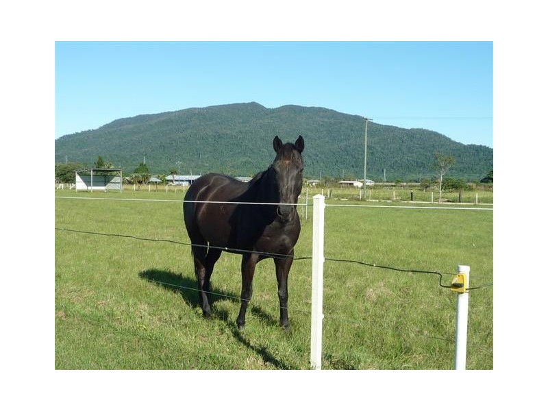 131 Old Tully Road, Tully QLD 4854