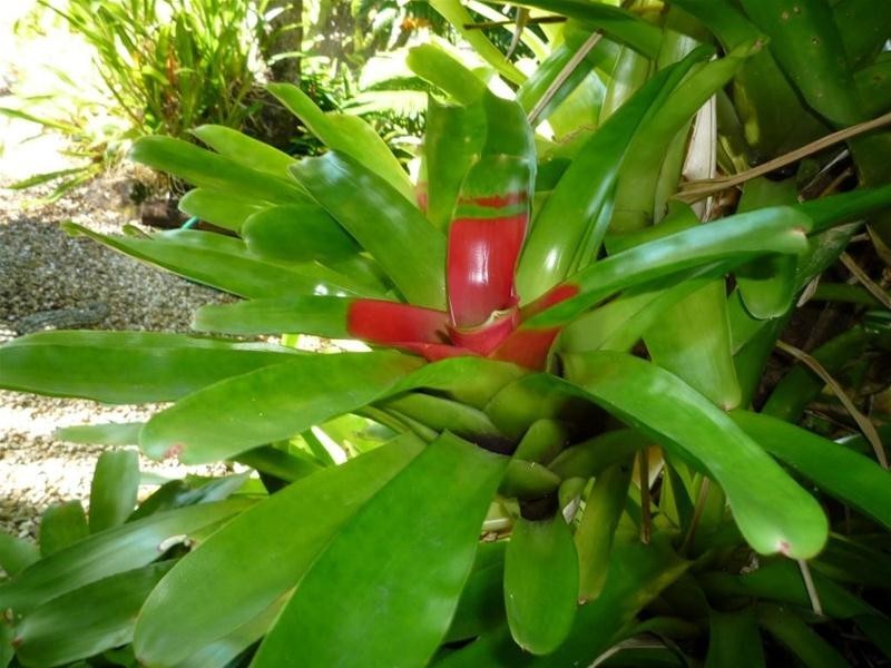 856 East Feluga Road, East Feluga QLD 4854