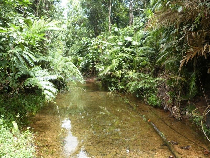 Lot/1 Whing Creek Road, Shell Pocket QLD 4855