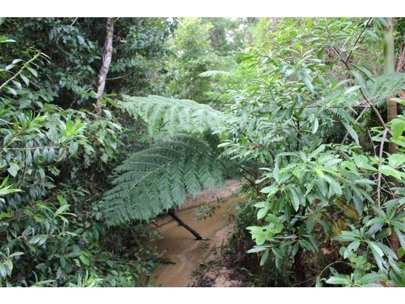 Lot 102, Lot 102 Old Tully Road, Feluga QLD 4854