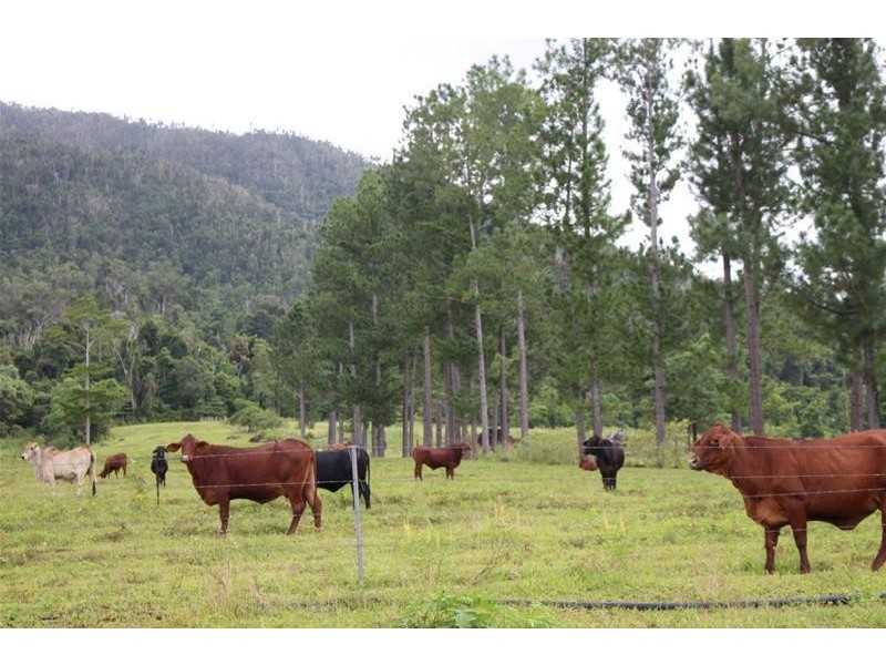 Lot 102, Lot 102 Old Tully Road, Feluga QLD 4854