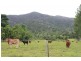 Lot 102, Lot 102 Old Tully Road, Feluga QLD 4854