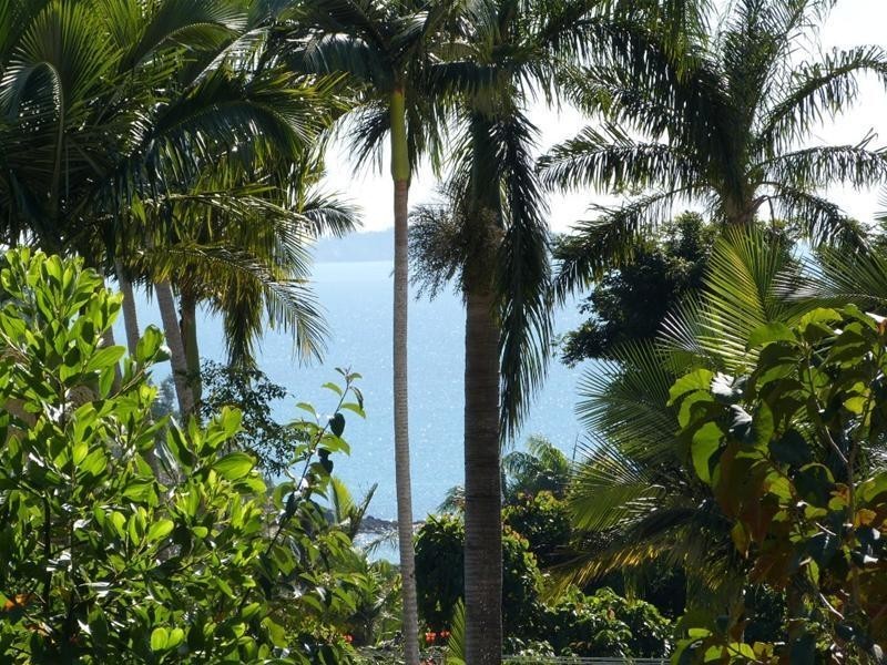 Lot 84, 43 Cutten Street, Bingil Bay QLD 4852