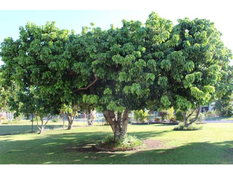 Lot 107, 13 Rebecca Jane Parade, Kurrimine Beach QLD 4871