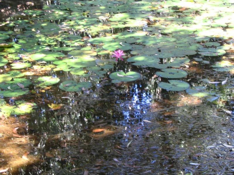 Lot 22, 22 Bingil Bay Road, Garners Beach QLD 4852