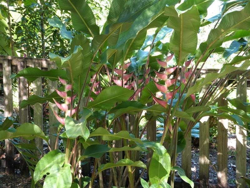 770 East Feluga Road, East Feluga QLD 4854